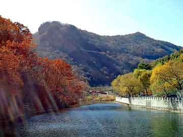 澳门期期准免费精准，上海钢塑土工格栅